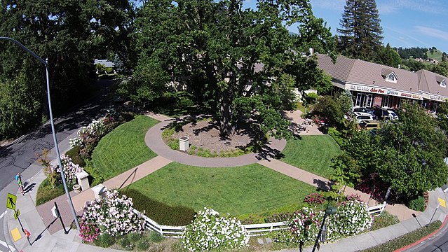 Andrew Young park (Photo courtesy of Wikipedia: Kyle Hawton)