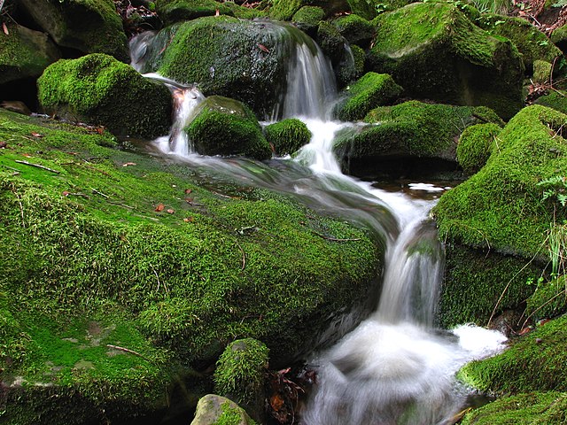 Las Trampas Waterfall(Photo courtesy of Wikipedia: Waterfall581)