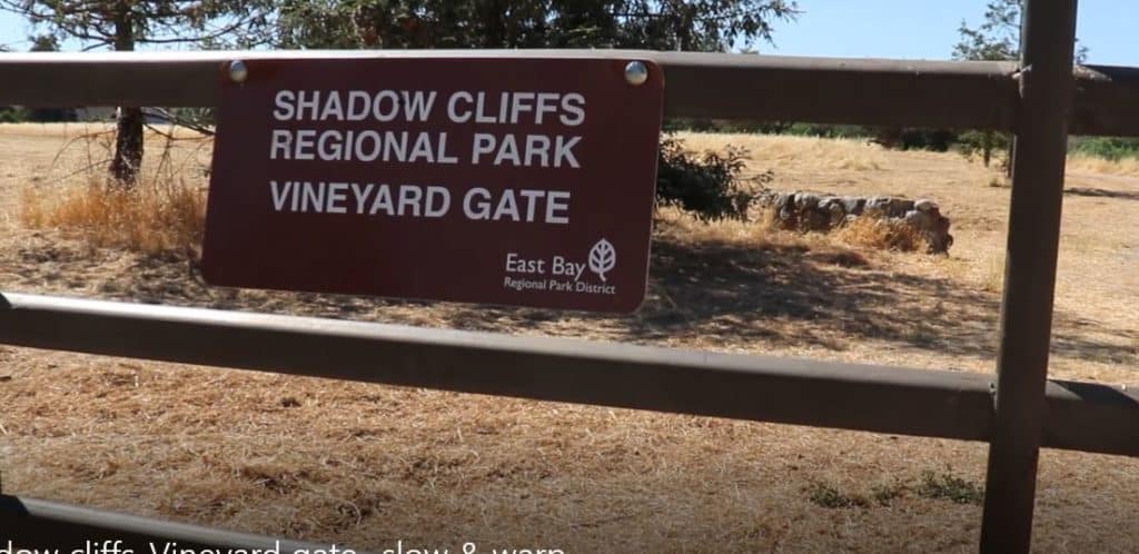 Shadow Cliffs Regional Park-Vineyard gate