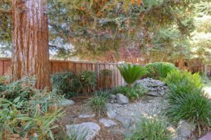 Tranquil river rock pond & fountain